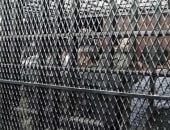  السجن المشدد لـ 9 متهمين بخلية شبكة العملة