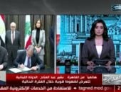 بشير عبد الفتاح: ثقل مصر الإقليمى يمنح لبنان فرصة حقيقية لتجاوز أزمته