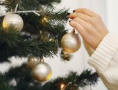 ما قصة شجرة الكريسماس وسر ارتباطها باحتفال عيد الميلاد المجيد؟