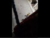 الداخلية تكشف حقيقة فيديو متداول حول مشاجرة أسرية بالإسكندرية