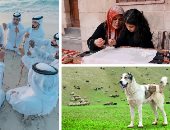 تطريز عنتاب إيشى وتربية كلام الألاباى وفن الآهلة بقائمة اليونسكو