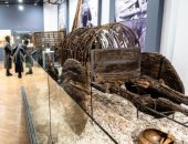 عربة مغطاة عمرها 3500 عام لتشييع جثمان أحد القادة.. اعرف حكايتها