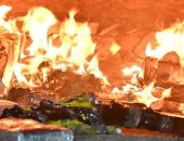 جبس بدل الكوكايين.. كيف سرق رجال شرطة مخدرات أثناء حرقها فى الأرجنتين؟