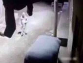 ضبط متهم بسوهاج بعد إشعال النار فى توك توك بسبب خلافات ميراث