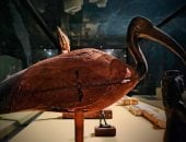 متحف سوهاج القومى يعرض قطعة لطائر الأبيس تزامنا مع اليوم الدولى للتعليم  