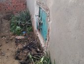 تفاصيل استخراج 25 كيلو عسل من داخل قبر فى المنوفية.. صور