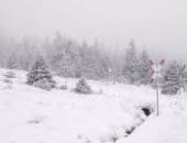 موجة شتاء قاسية تضرب أوروبا بداية 2026.. ثلوج كثيفة وبرد يصل إلى 10 درجات تحت الصفر فى أيرلندا واسكندنافيا.. شلل تام فى الملاحة وحالة فوضى فى النقل البرى والجوى.. والقارة العجوز تمر باختبار جديد للبنية التحتية