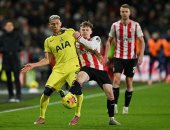 برينتفورد ضد توتنهام.. تعادل سلبى فى ختام الجولة 19 بالدوري الإنجليزي