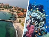 السنغال Vs السودان.. جزيرة جورى ومحمية سنجانب أماكن مسجلة باليونسكو