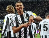 سقوط إيفرتون ضد برينتفورد وفوز نيوكاسل على كريستال بالاس 2-0.. فيديو