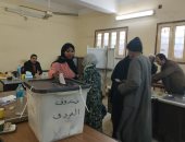 أهالى الأقصر يتوافدون على لجان انتخابات مجلس النواب.. صور