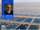 شعبة الأسماك: دخول عدد كبير من السماسرة بالسوق ساهم في زيادة الأسعار