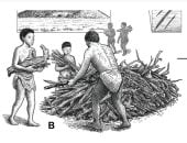 العثور على أقدم جثة دفنت بطقوس تبدأ بالحرق لشخص بالغ فى أفريقيا