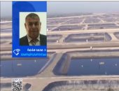 الزراعة: مصر تحقق 93% اكتفاءً ذاتيًا من الأسماك بفضل الاستزراع