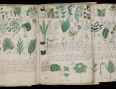 فك شفرة مخطوطة فوينيتش الغامضة من العصور الوسطى.. ما القصة؟