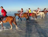رحلات الخيول على شواطئ الغردقة تسرق قلوب سياح العالم.. صور