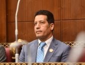 النائب هشام الحسينى ربيع: التنسيق المصرى السعودى ركيزة أساسية لاستقرار المنطقة