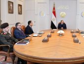 الرئيس السيسى يوجه بدراسة فرص تطوير مراكز البيانات وخدمات الحوسبة السحابية والتوسع فى تصنيع أجهزة الاتصالات