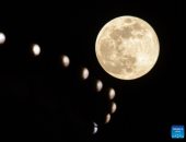 أول قمر عملاق في عام 2026 يظهر في السماء