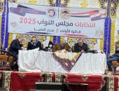اللجان الفرعية بالمنيا تعلن الحصر العددى للمرشحين فى دوائر المحافظة