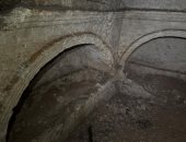 نقوش بارزة لماعز برى عثر عليها فى مقبرة دفن مقببة عمرها 1800 عام فى تركيا