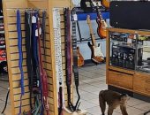 الإمساك بقرد هارب داخل متجر موسيقى فى أمريكا بعد عبثه بالأدوات