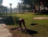 جهاز التطوير والتجميل بالإسماعيلية يواصل أعمال الصيانة بمداخل ومخارج المحافظة