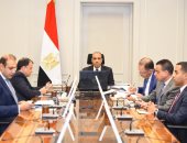 وزير الخارجية يؤكد دعم مصر الكامل لوحدة وسيادة الصومال أمام مجلس السلم والأمن الأفريقى