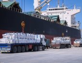 111 ألف طن قمح رصيد صوامع الغلال بميناء دمياط اليوم