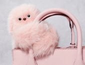 روبوت ميرومى ذكى ويقرأ مشاعر البشر ويتفاعل معها.. هينافس لابوبو