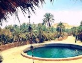 بحيرات الملح فى واحة سيوة جمال طبيعى وعلاج مجانى يجذب السياح.. مياه فيروزية لا يغرق فيها أحد بفعل الكثافة العالية.. ومناجم الملح تتحول إلى أحواض سباحة محاطة ببياض ناصع يخطف الأنظار.. صور