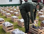 كوكايين داخل الباذنجان.. كلب يكشف 31 كيلو مخدرات فى الأرجنتين