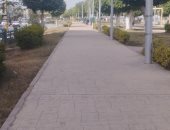 نشاط للرياح وانخفاض فى درجات الحرارة وسطوع للشمس بالمنيا.. فيديو