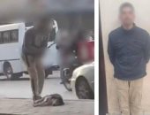 الداخلية تكشف ملابسات فيديو الاعتداء على كلب بأحد شوارع الجيزة وتضبط المتهم