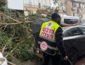 رياح قوية تقتلع الأشجار فى إسرائيل وأمطار غزيرة تغلق الشوارع.. فيديو 