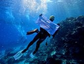 "عزيمة قهرت الأمواج".. حكاية بطل "من متلازمة داون".. محمد كرم أول غواص مصري يحصل على رخصة معتمدة.. يكتب تاريخا جديدا في محمية الجفتون ويقود حملة لتنظيف أحد شواطئ البحر الأحمر.. منال عوض: نموذج وطني ملهم