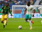 السنغال تتخطى مالي وتنتظر الفائز من مصر وكوت ديفوار بنصف النهائي.. صور 