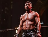 أحمد العوضى وأمير المصرى وعصام عمر فى حلبات الملاكمة.. اعرف التفاصيل