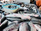 البلطي بـ50 جنيه.. أسعار الأسماك بكفر الشيخ السبت 10 يناير 2026