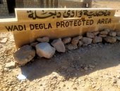 محمية وادي دجلة نموذج للاستدامة والتناغم بين التراث والطبيعة