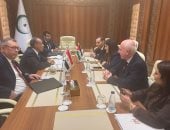 وزير الخارجية يشدد على أهمية الانتقال للمرحلة الثانية من خطة ترامب فى غزة