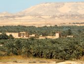 بـ 1500 جنيه بس.. سافر 3 واحات « فول بورد » مع اعرف بلدك.. فيديو