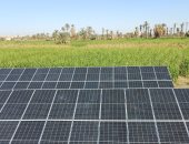 تعرف على مشروع المزرعة الذكية بنصر النوبة × 5 معلومات