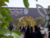 مهرجان زيتون الجوف الدولى الـ19.. إقبال جماهيرى وصفقات قياسية تجذب الزوار