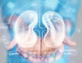 5 مشروبات طبيعية تزيل السموم من الكلى