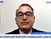 أستاذ علوم سياسية لـ«إكسترا نيوز»: مصر الحارس الأمين للحق الفلسطينى