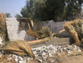 إزالة 4 حالات تعد على الأراضى الزراعية بمركزى طما وأخميم فى سوهاج