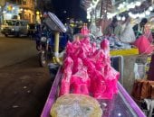 شوارع الدقهلية تتزين احتفالا بذكرى الإسراء والمعراج.. فيديو