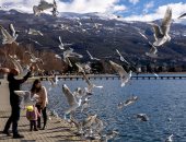 الطيور المهاجرة تهبط على ضفاف بحيرات مقدونيا