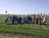 الأمن الغذائي على رأس الأولويات.. خطة الدولة تتوسع فى الزراعة والرى